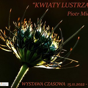 Plakat "Kwiaty lustrzanką" - wystawa fotografii Piotra Michalaka